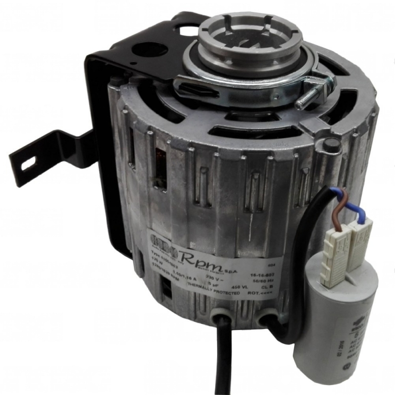 RO-Motor Para Bomba 120W 230V Interior
